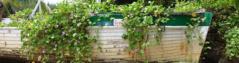 LENTE! Verfraai uw tuin of balkon met een mooie tuinposter!