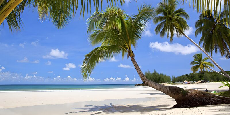 Tropisch Strand met Palmbomen