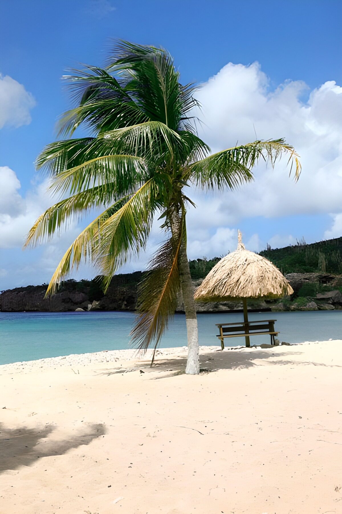 Tropisch strand met palmbomen