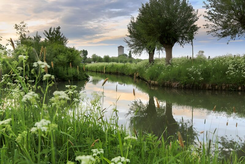 Rustige Oever met Spiegelend Water