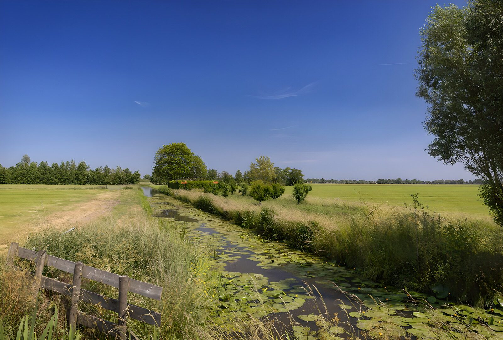 Prachtig Nederlands Landschap met Waterweg