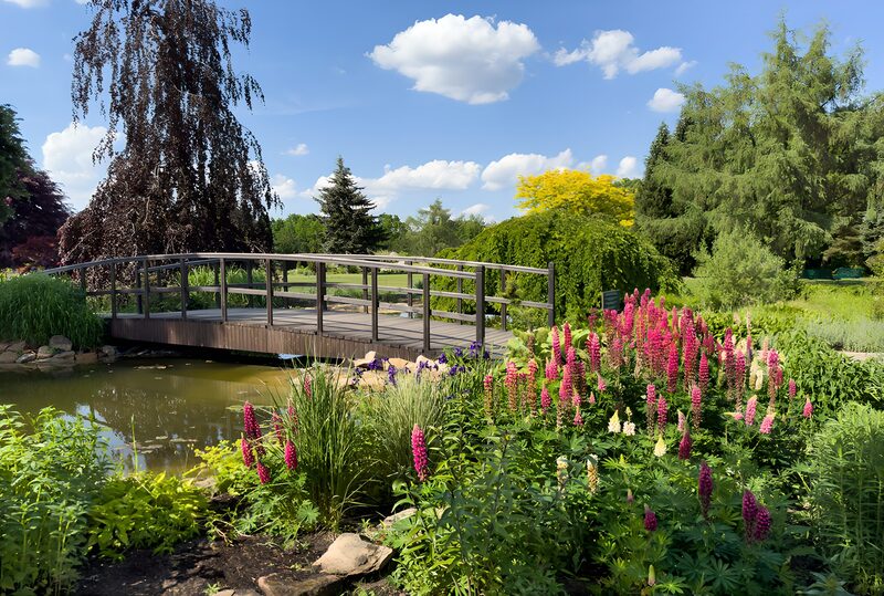 Prachtige brug in een bloeiende tuin