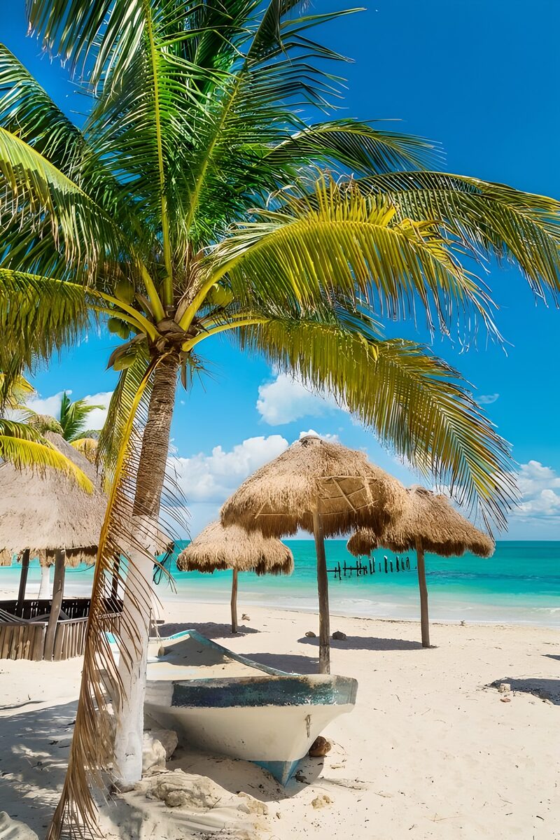 Tropisch strand met palmbomen