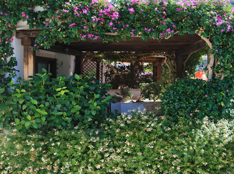Bloeiende Tuin met Overkapping