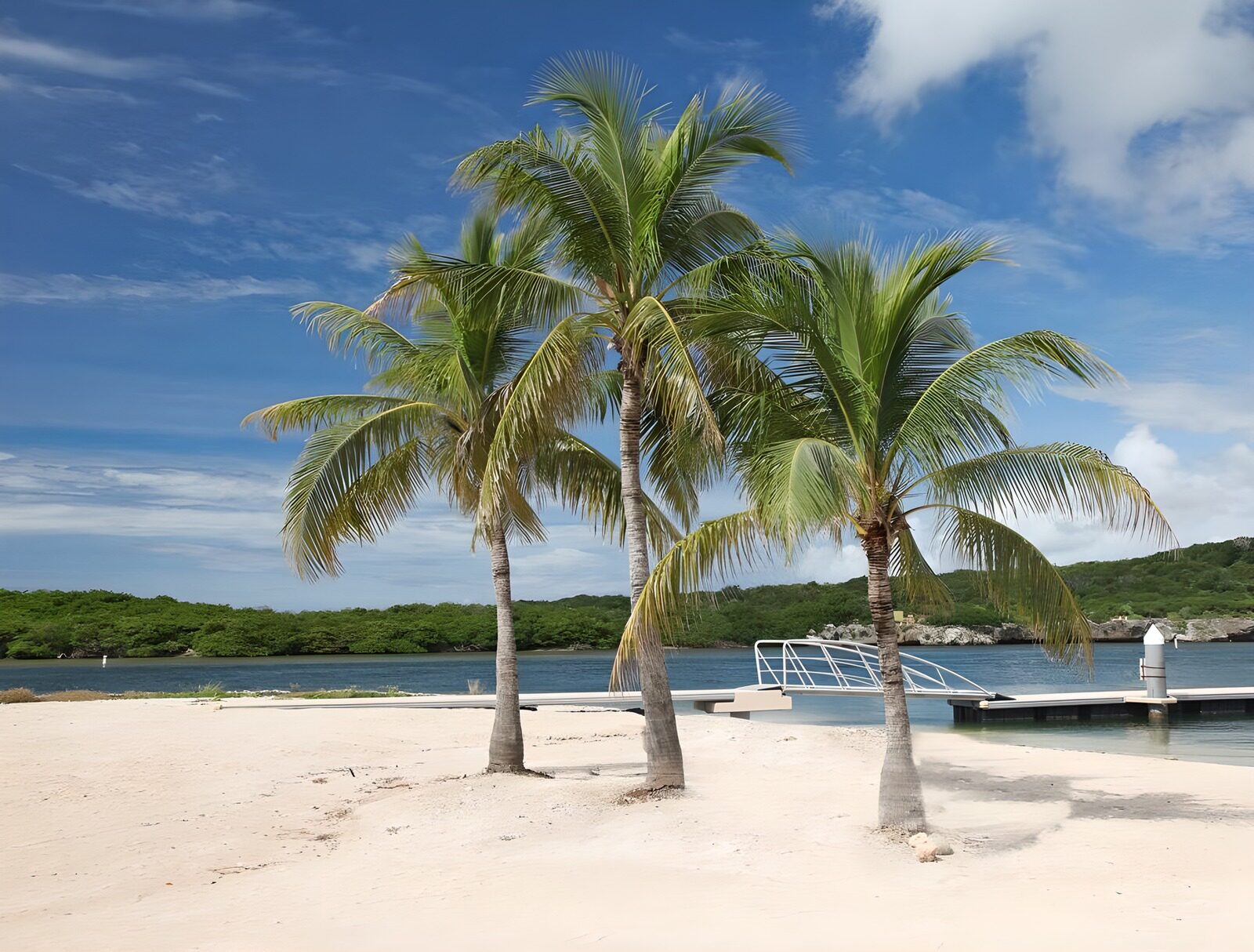 Tropisch strand met palmbomen