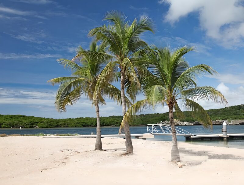 Tropisch strand met palmbomen