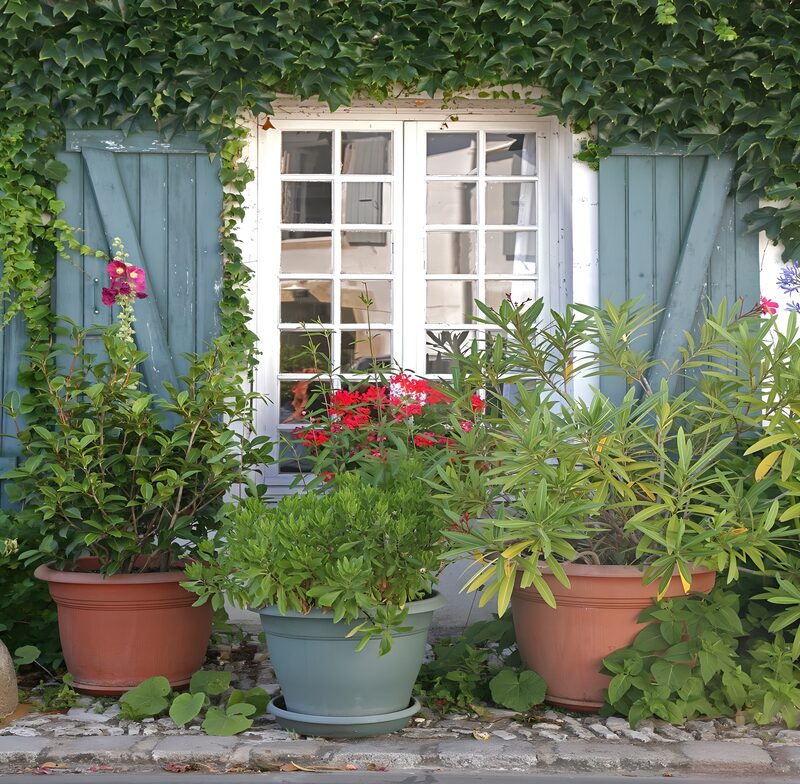 Raam met blauwe shutters  en terracota potten en planten