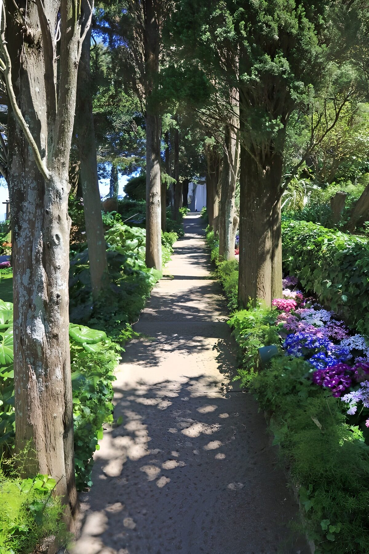 Rustige wandelweg door een bloementuin