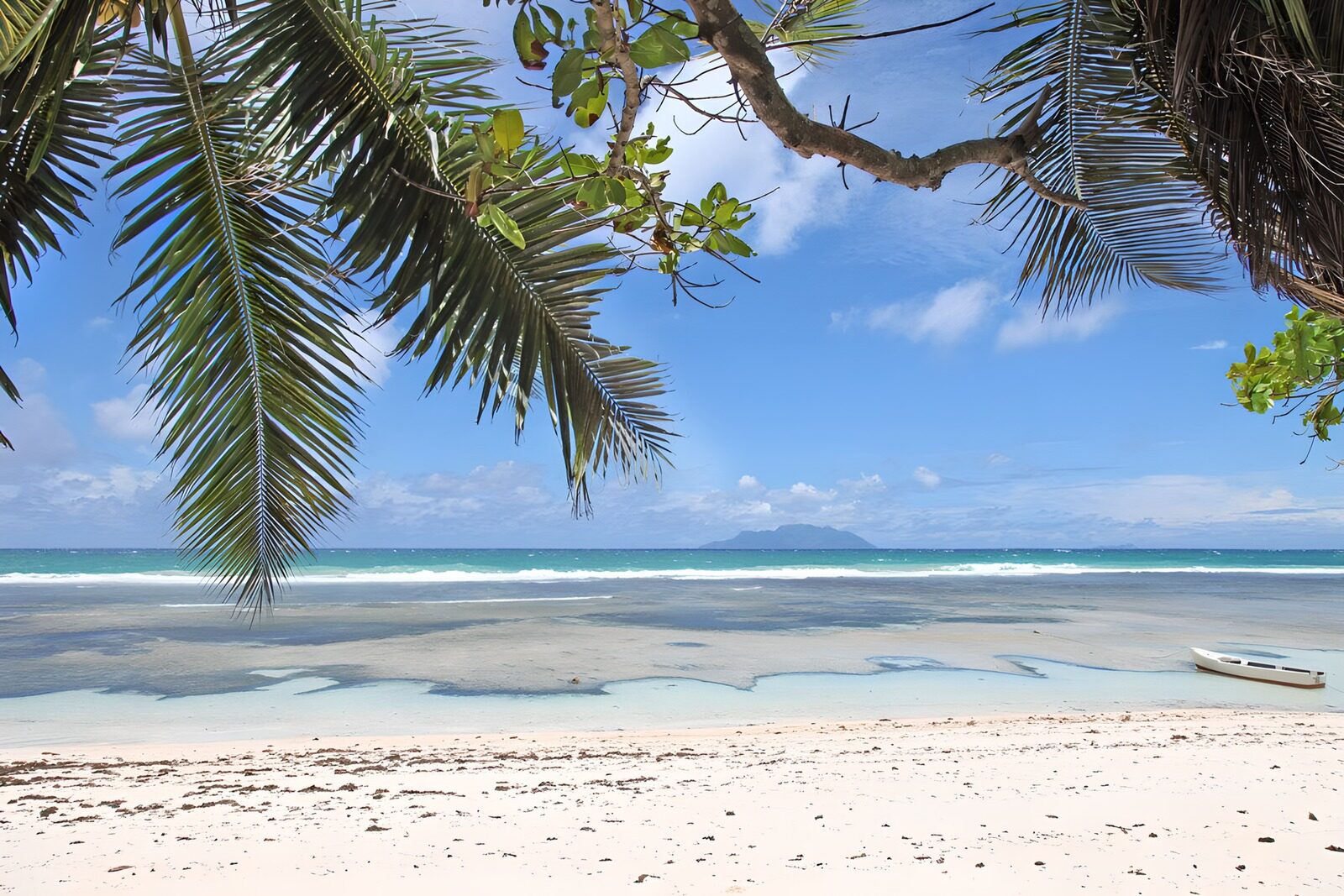 Tropisch Strandscenario met Palmbomen