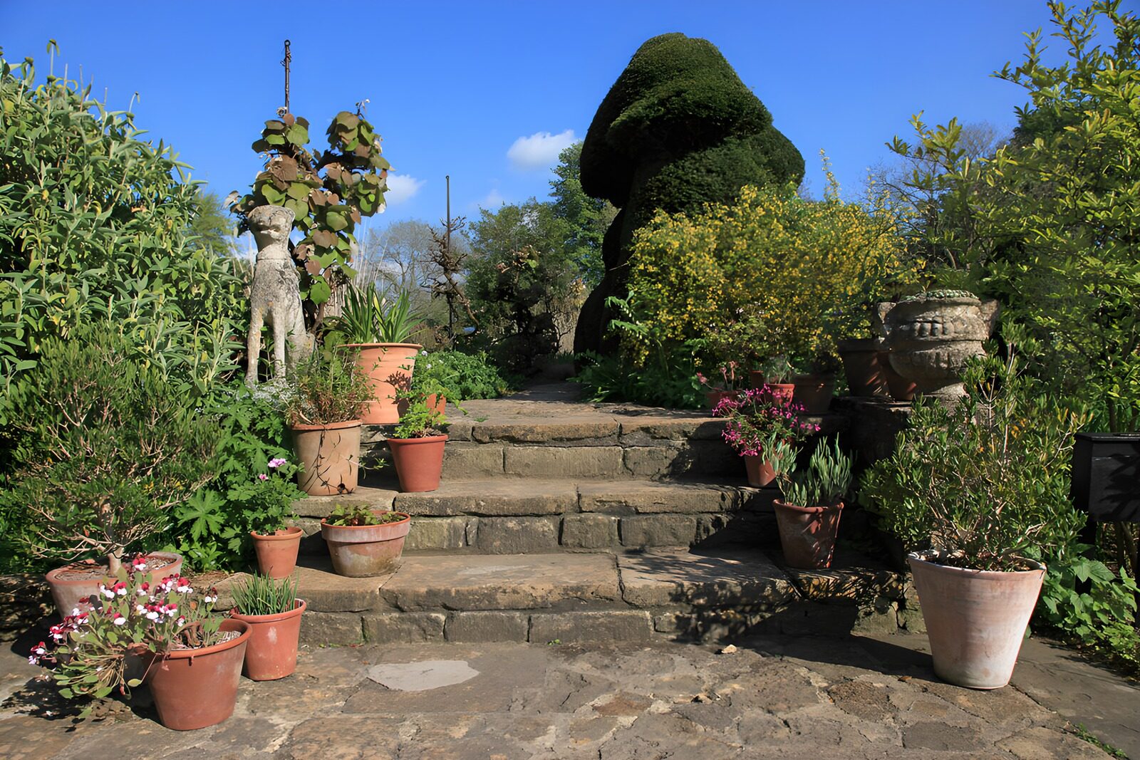 Sprookjesachtige tuin met planten en sculpturen