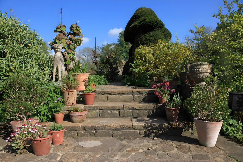Sprookjesachtige tuin met planten en sculpturen