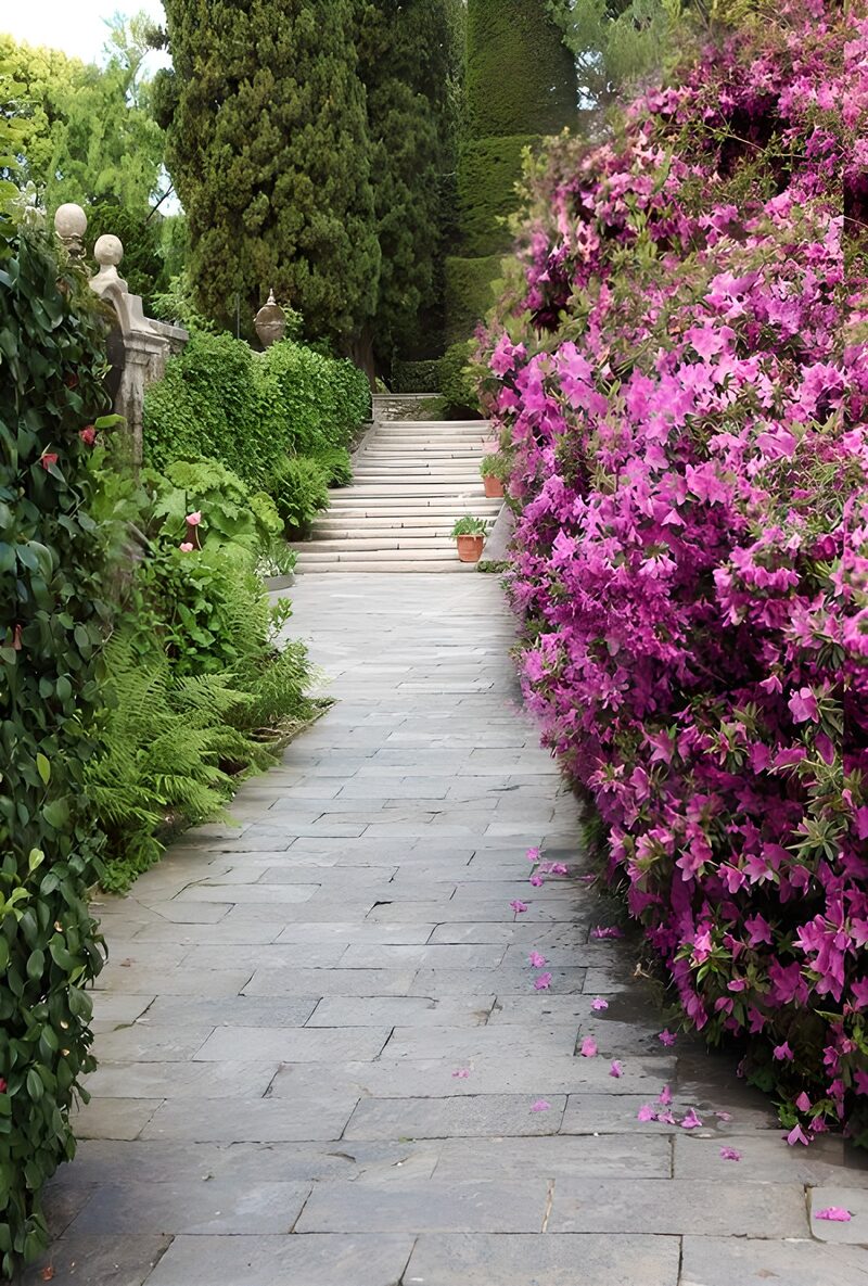 Betoverend Pad door Bloeiende Tuin