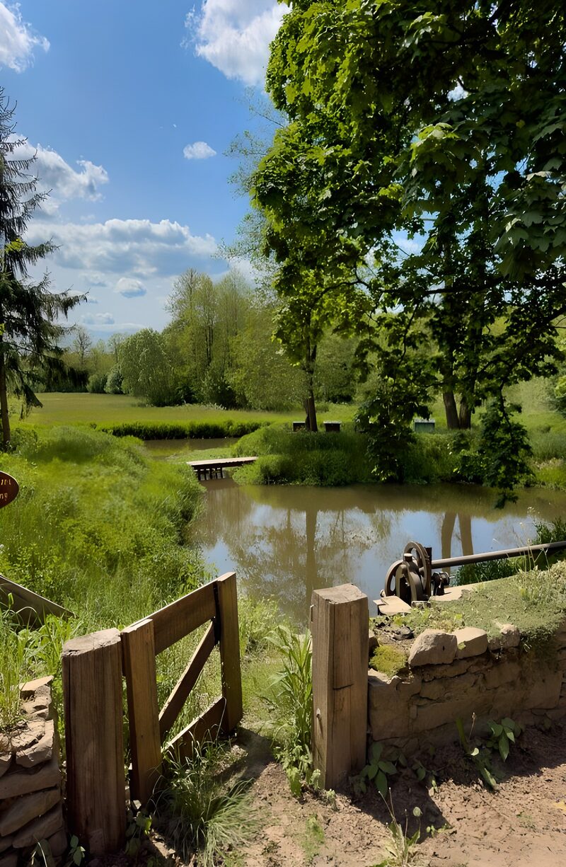 Fijntjes uitzicht op een rustgevende natuur