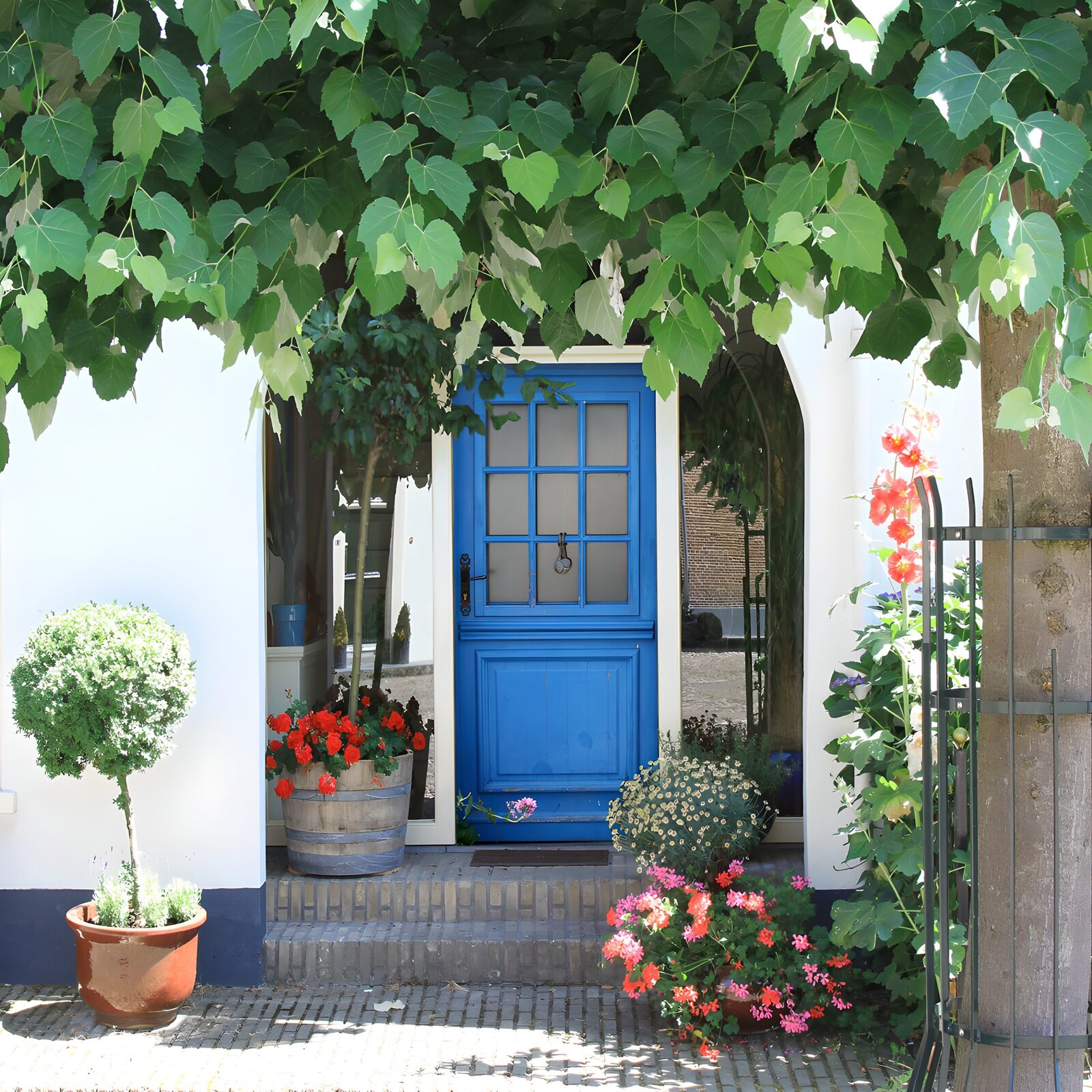 Blauwdeurtje omringd door groen