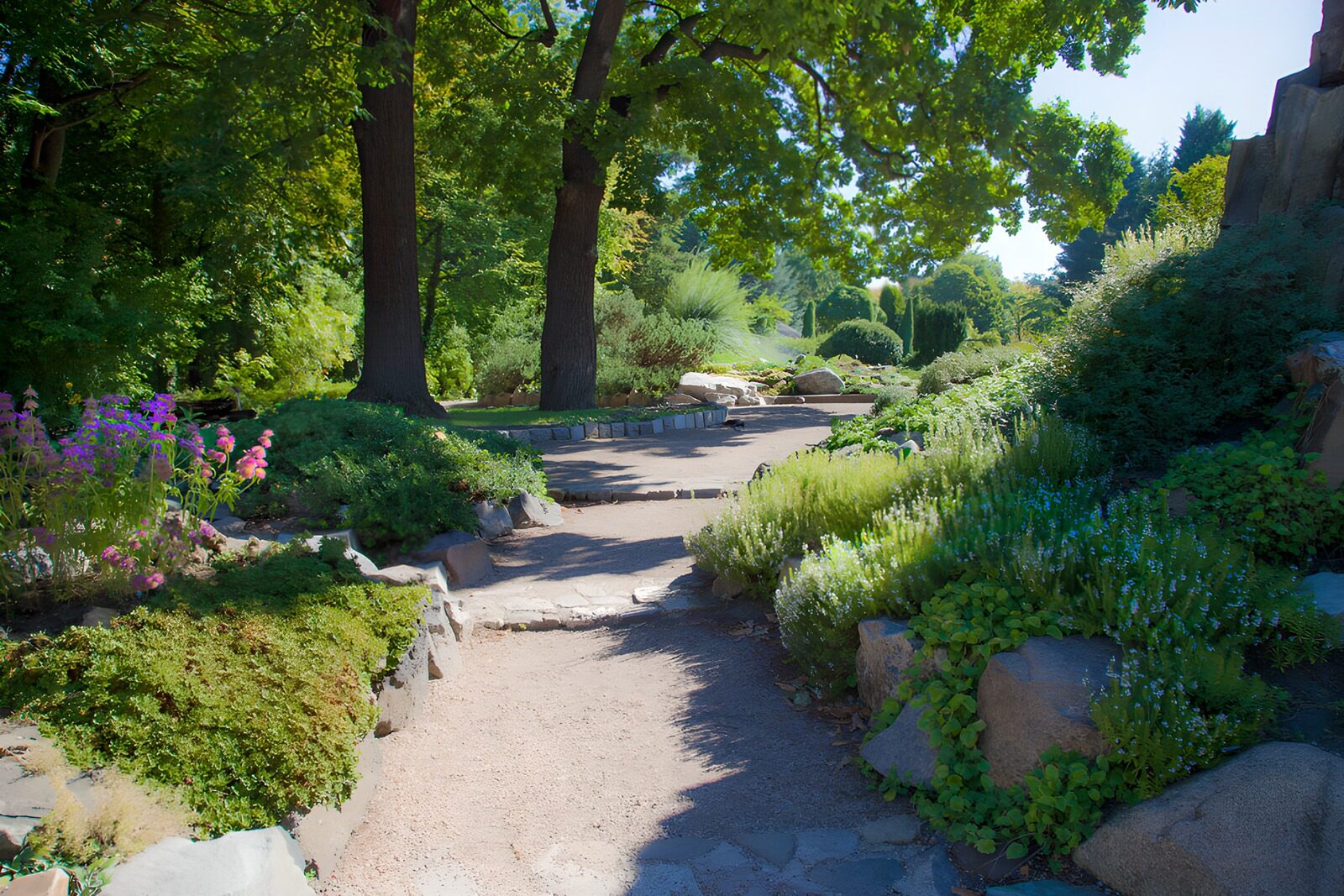 Rustige tuin met groene paden