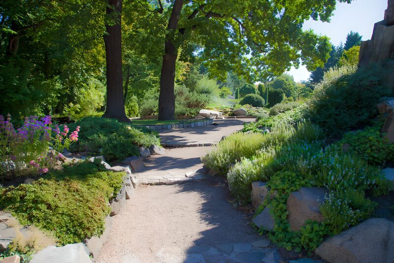 Rustige tuin met groene paden