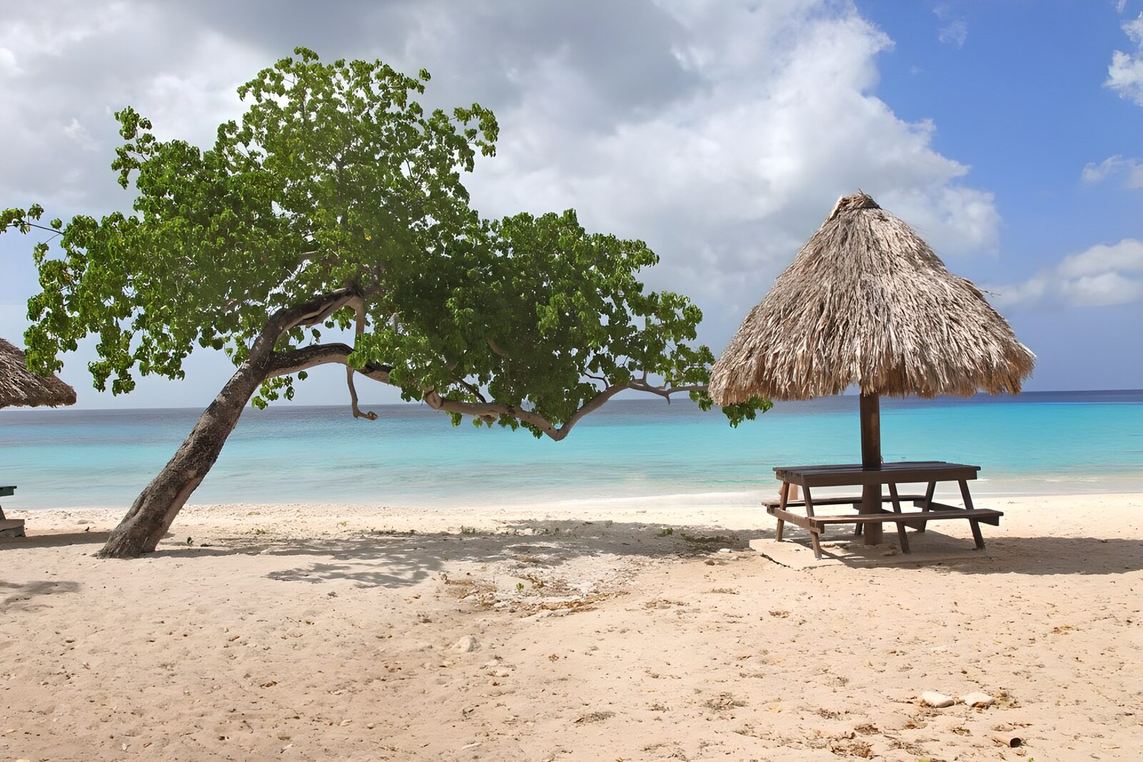 Tropisch Strand met Palapa