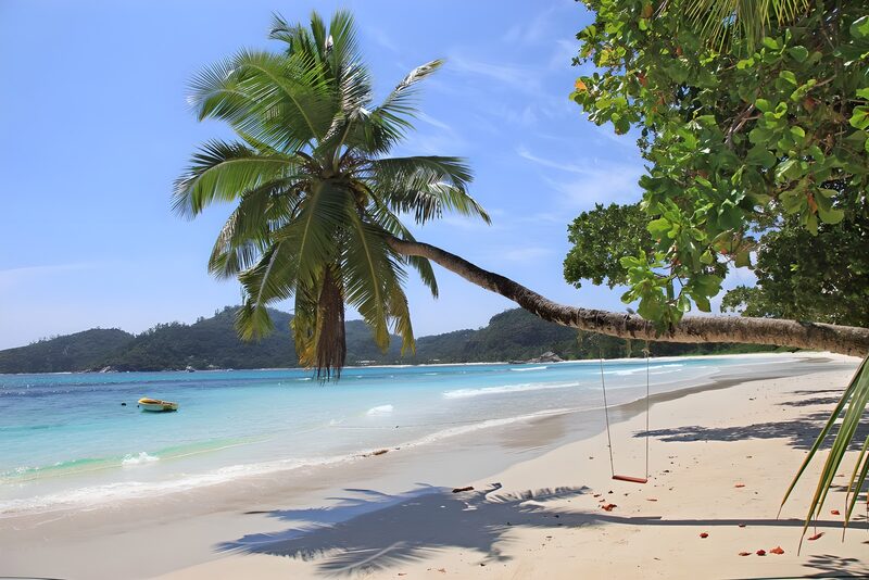 Tropisch strand met hangmat
