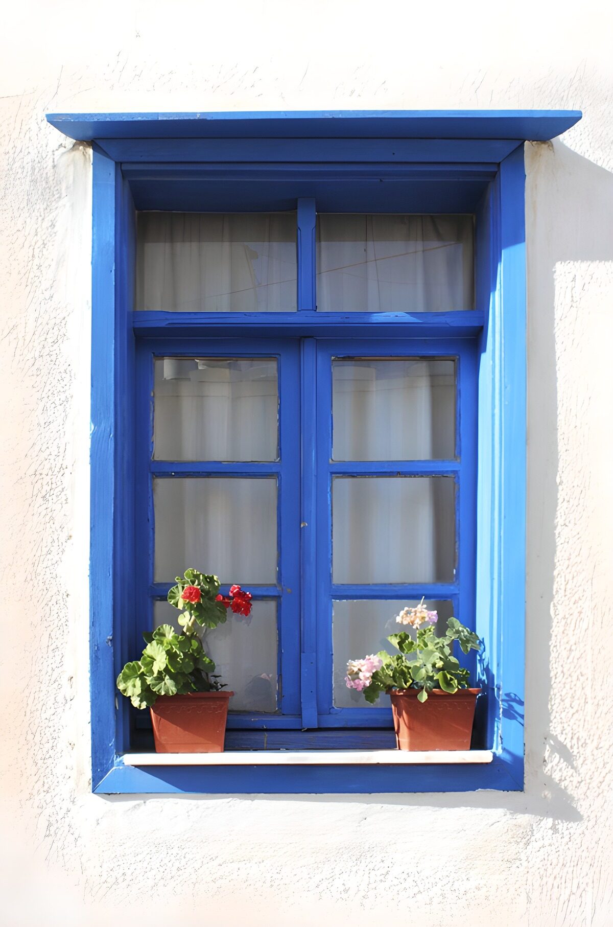Kleurrijk blauw raam met bloemen