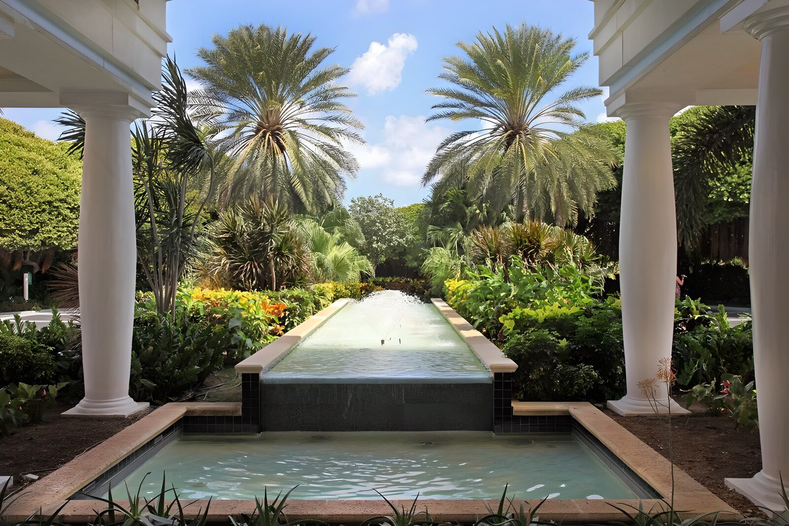 Rustige tuin met vijver en palmbomen