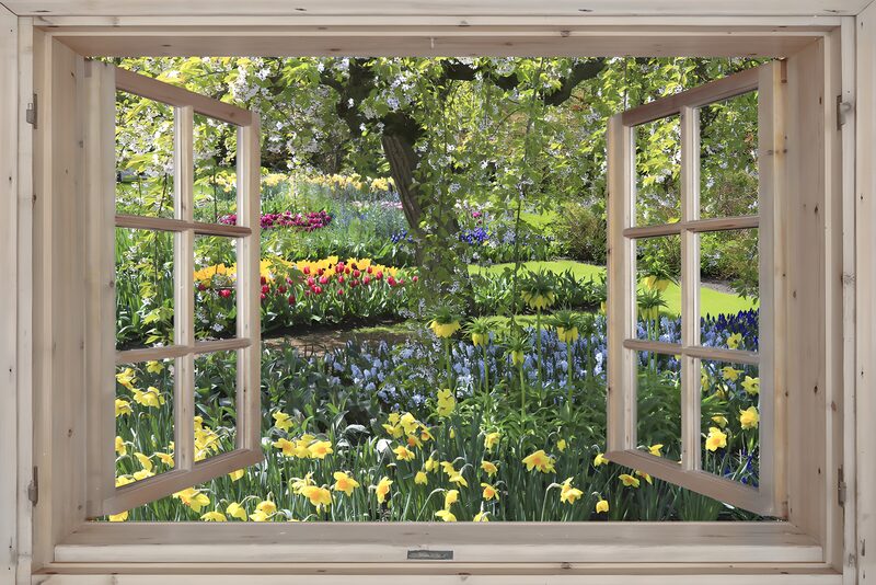 Uitzicht op een Bloeiende Tuin