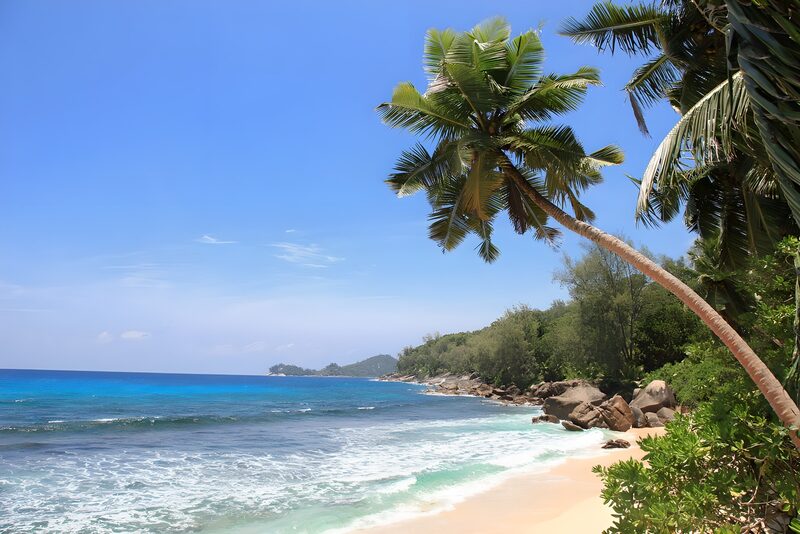 Tropisch strand met palmbomen