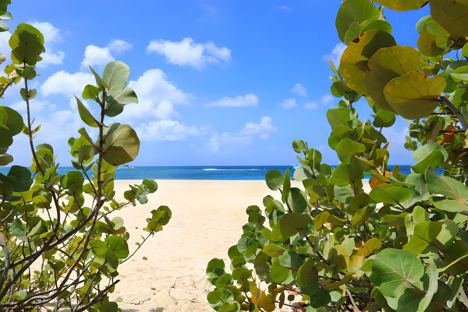 Paradijselijke Strandzicht