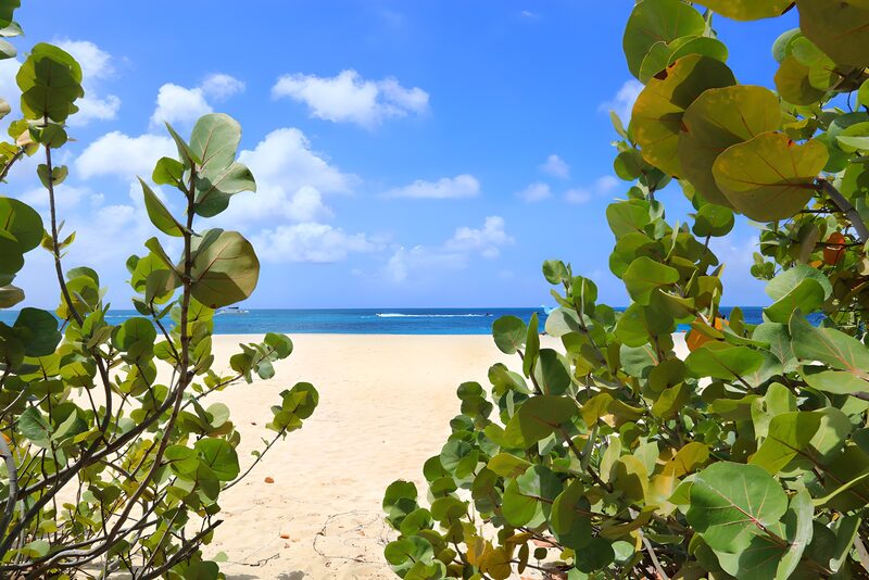 Paradijselijke Strandzicht