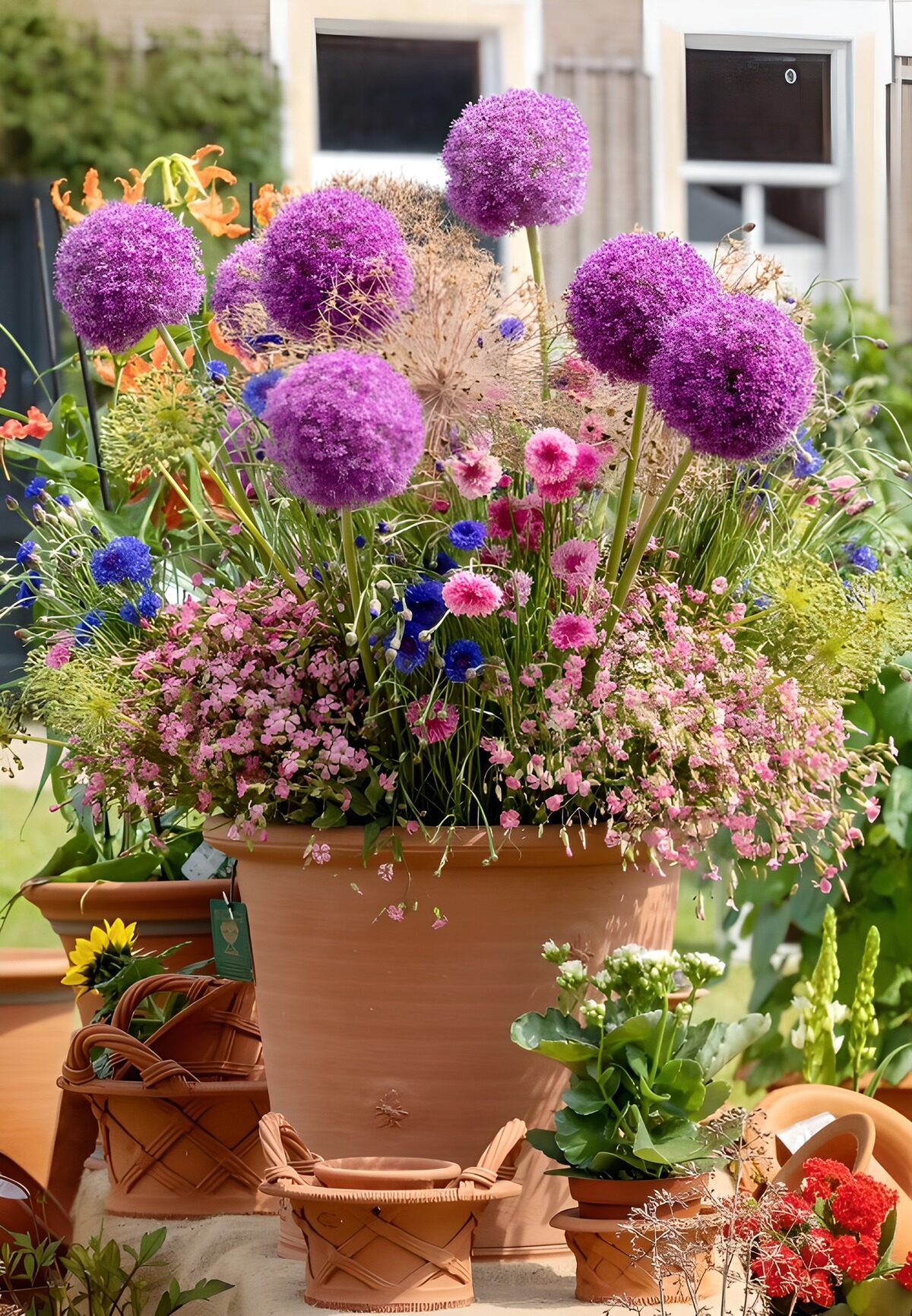Kleurrijke bloempot met paarse bollen