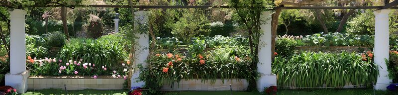 Bloeiende Tuin onder een Pergola