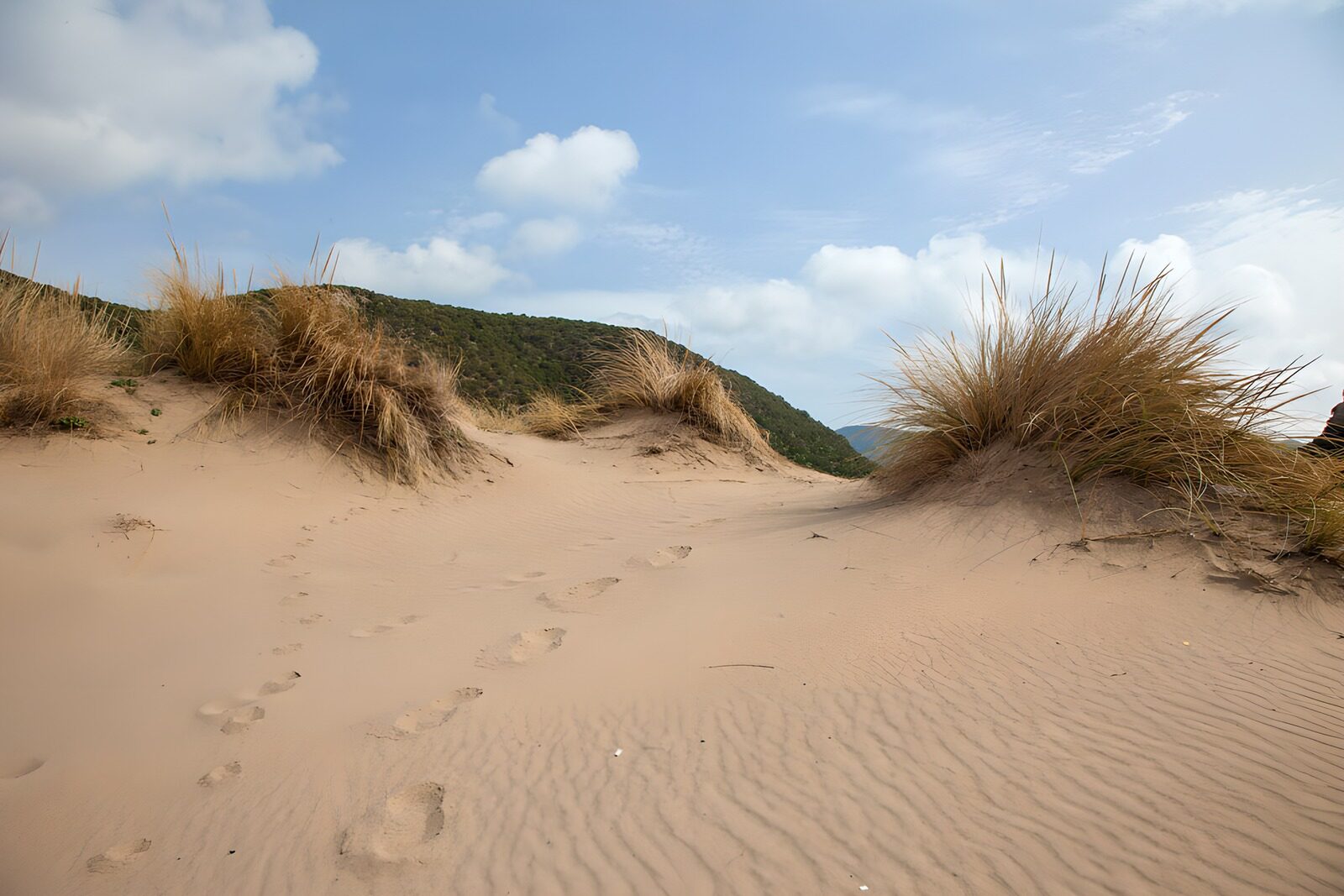 Zandduinen met voetsporen in de natuur