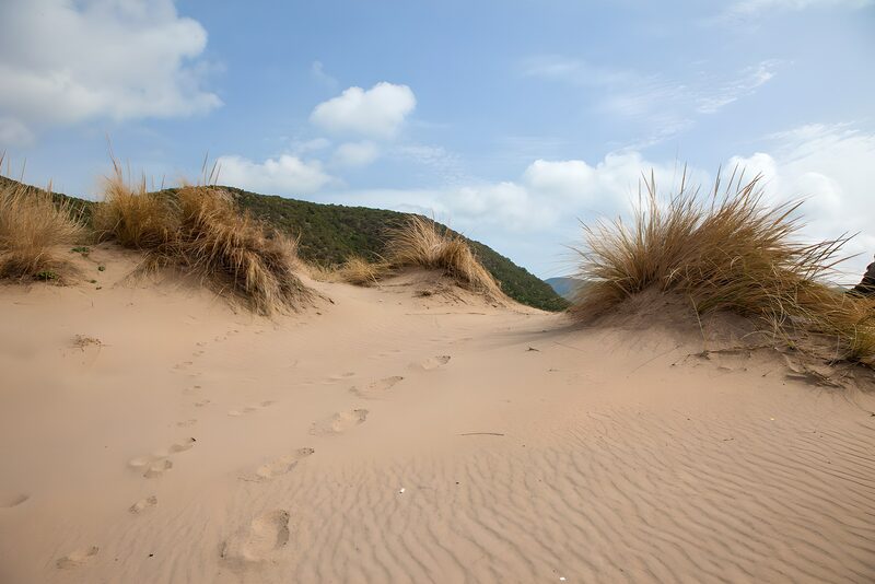 Zandduinen met voetsporen in de natuur