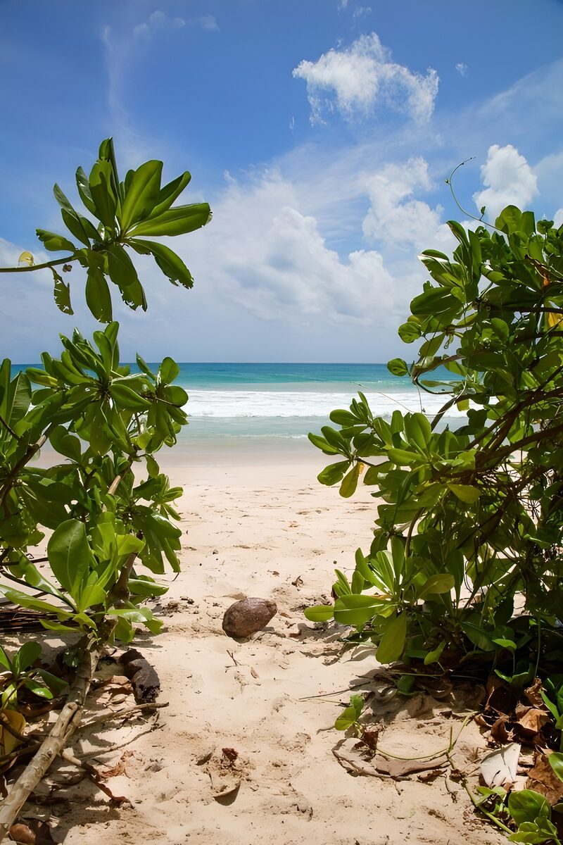 Paradijselijke uitzicht op het strand