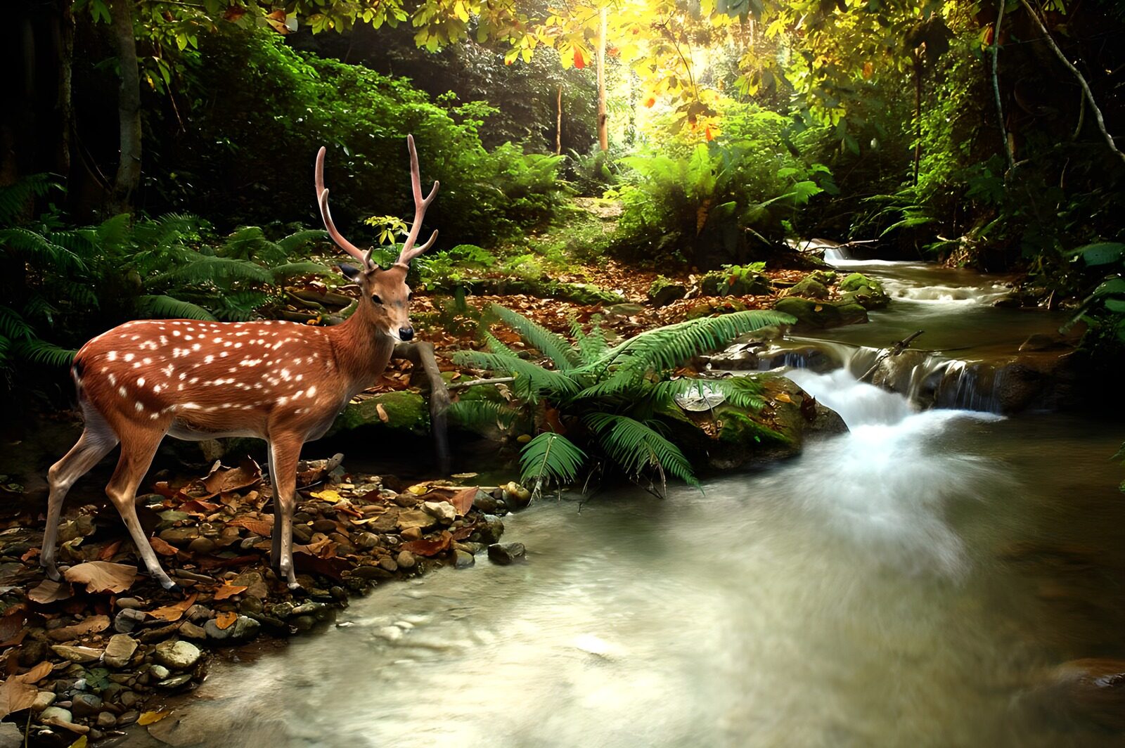 Herten in het rustige bos