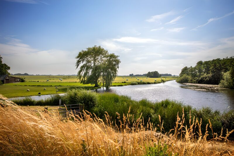 Rustig Nederlands Landschap