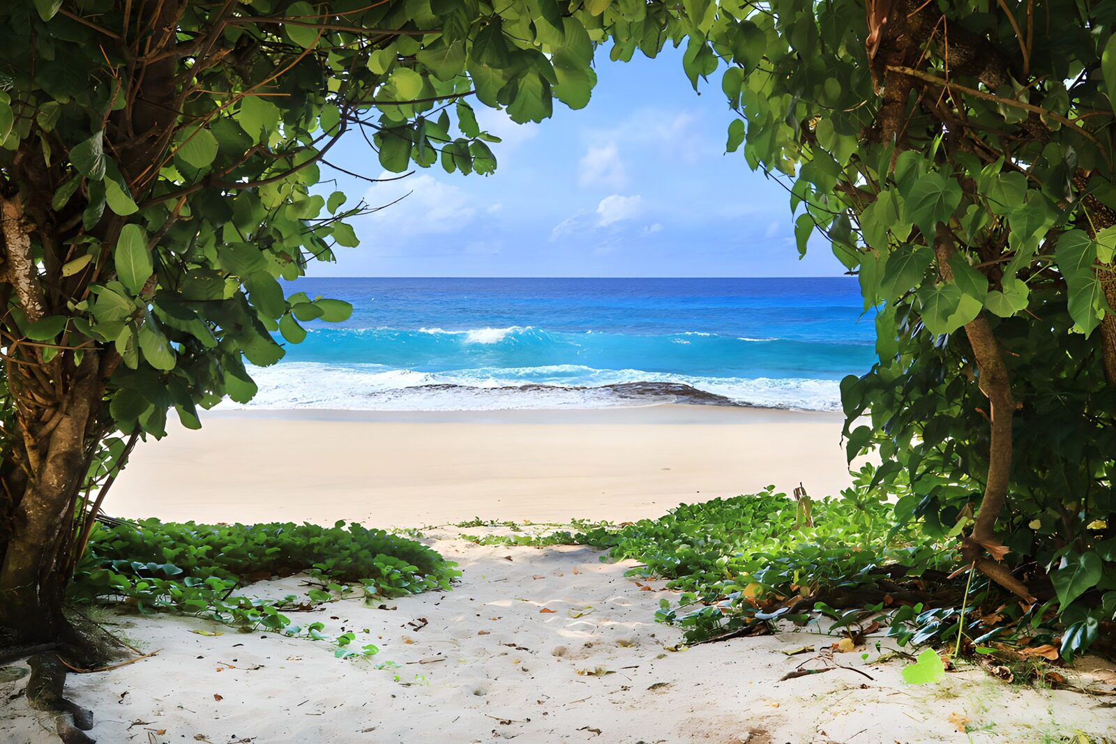 Uitzicht op een paradijselijk strand