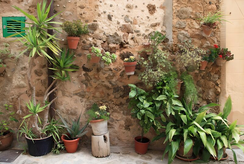 Groene Wand vol Bloempotten