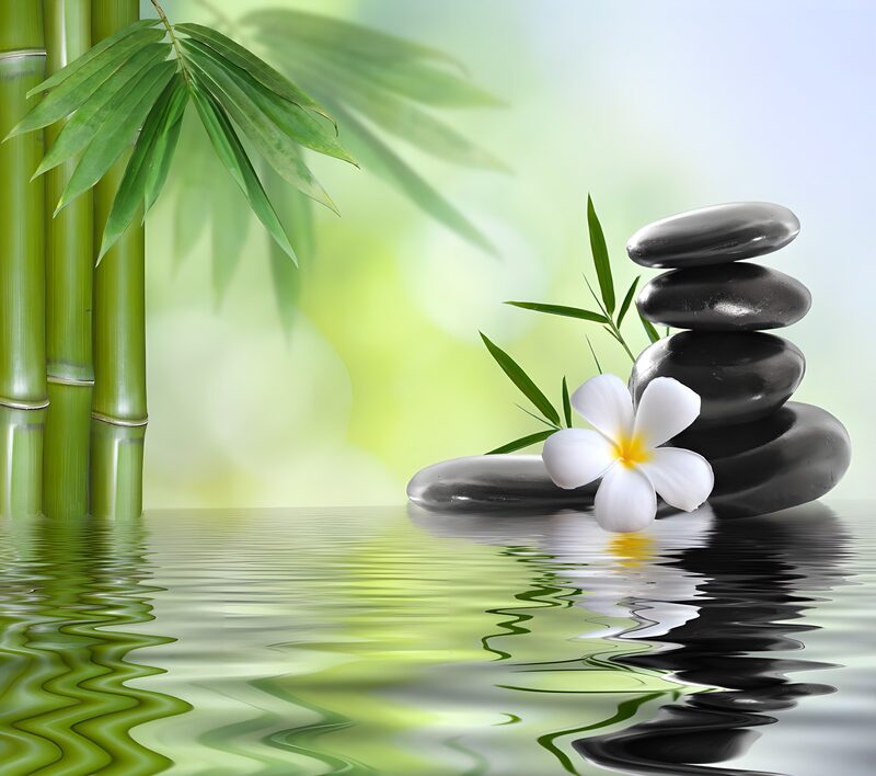 Zen-Tuin met Stenen en Bloem