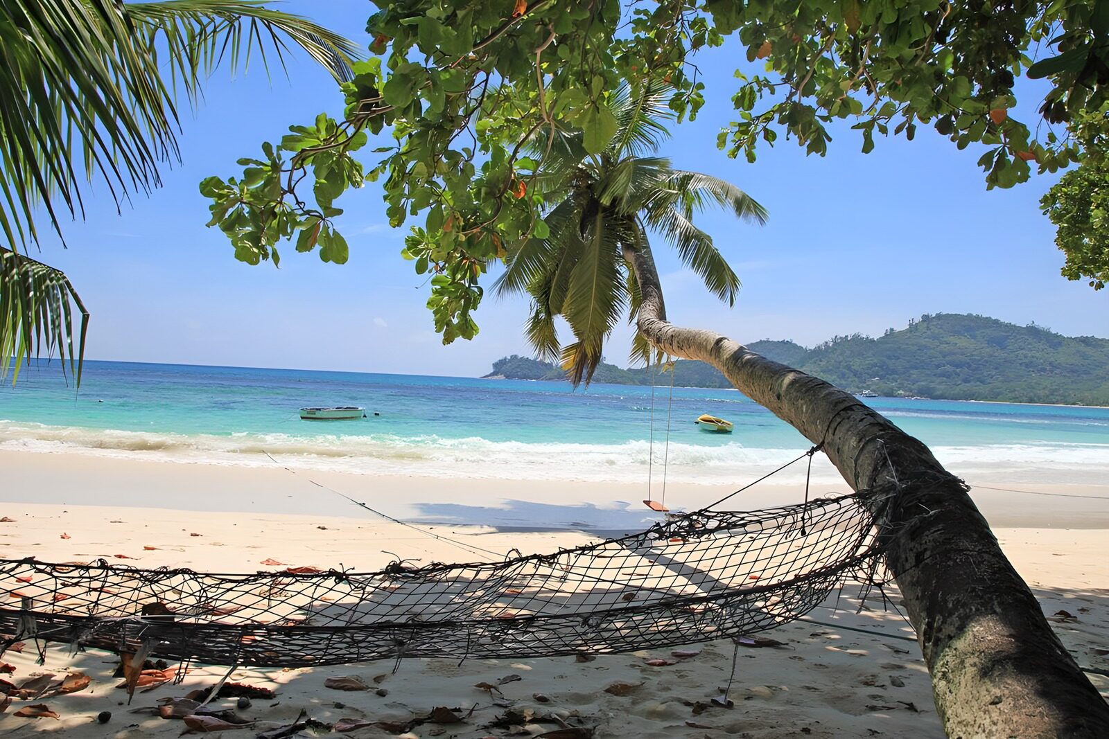 Tropisch strand met hangmat