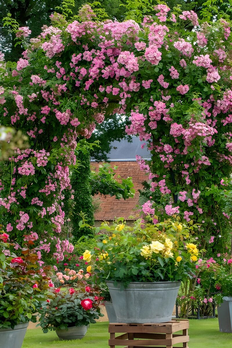 Rozenboog in een bloeiende tuin