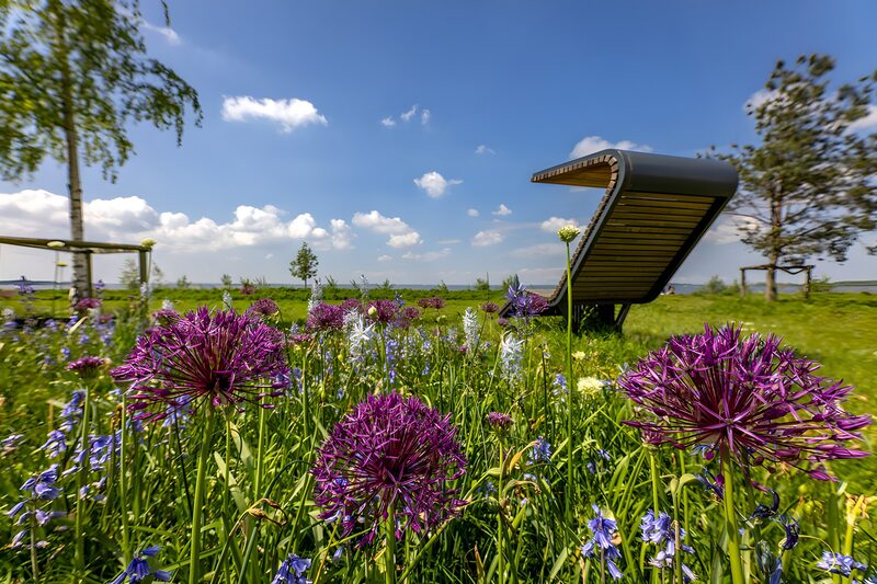 Zomerweide met ligstoel en bloemen
