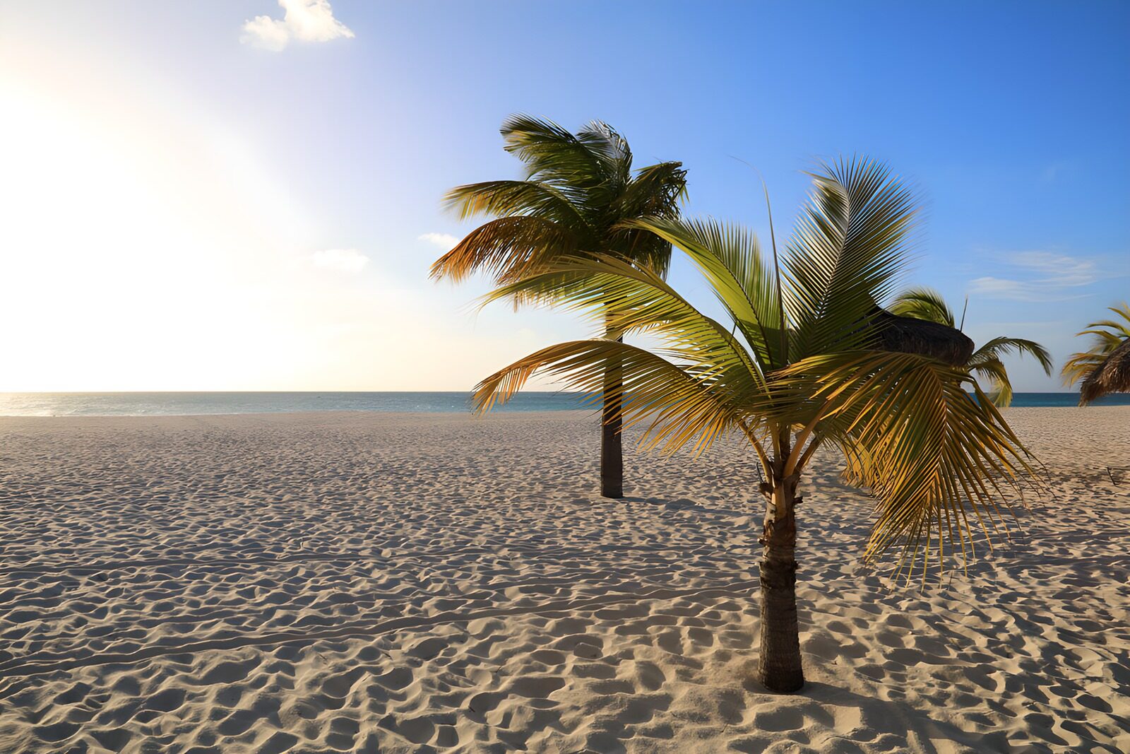 Zonsondergang op tropisch strand
