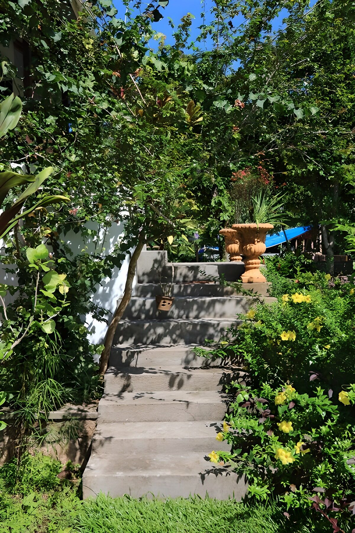 Groene tuin met stenen trap