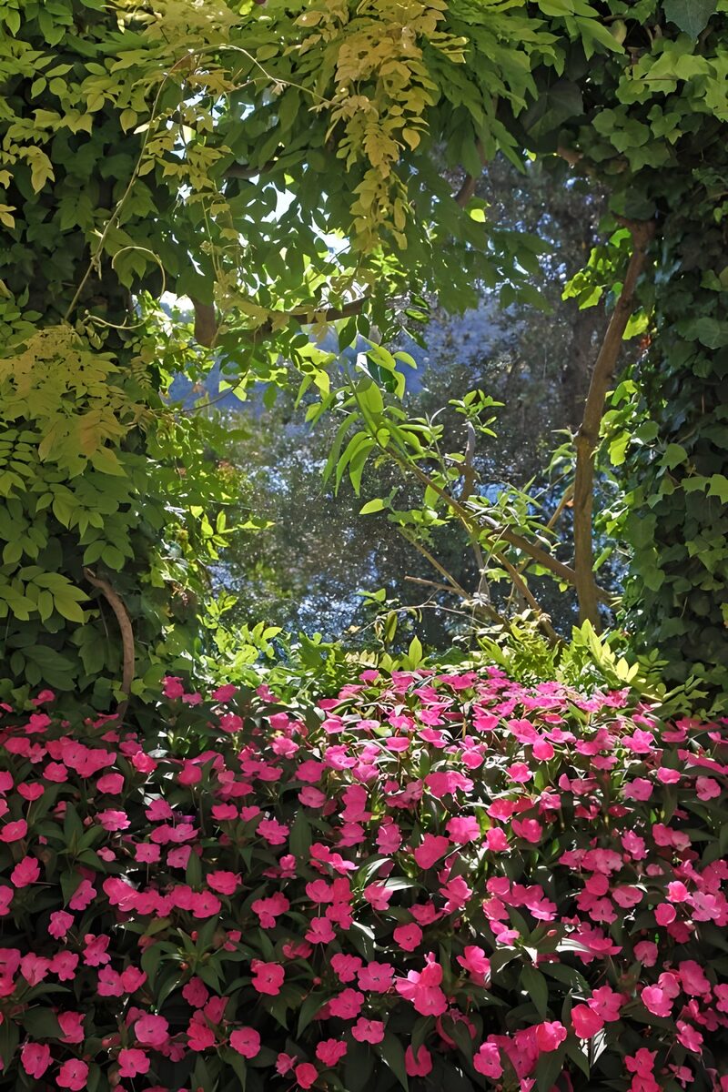Kleurrijke Bloemen tussen Groen