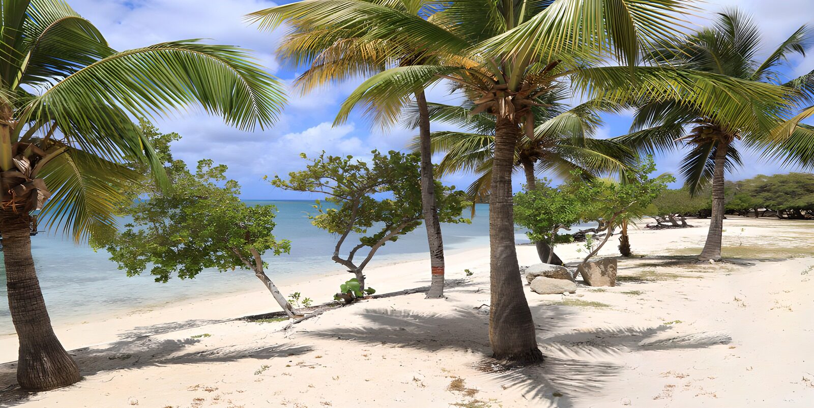 Tropisch strand met palmbomen