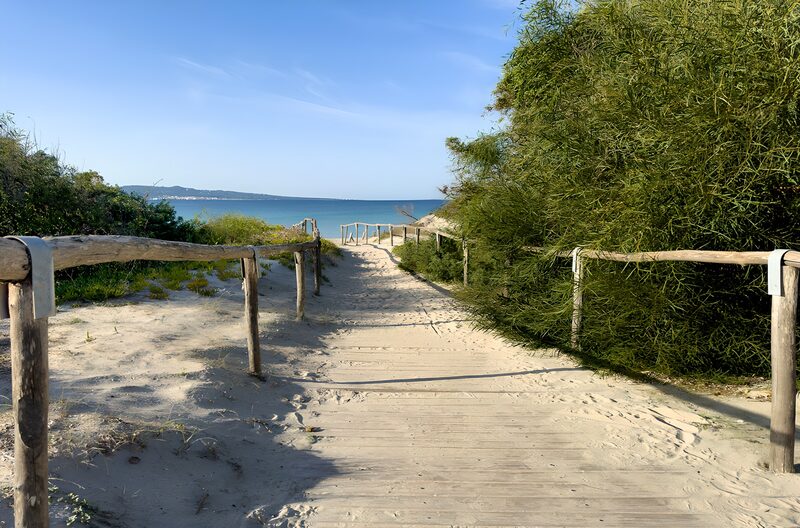Pad naar het strand over het zand