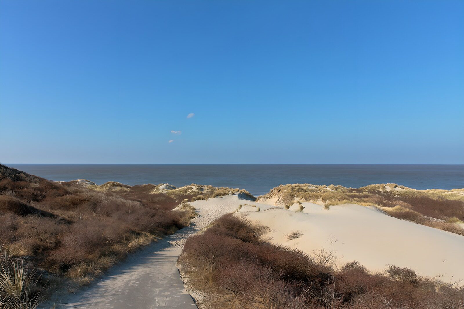 Rustige duinen bij de kust