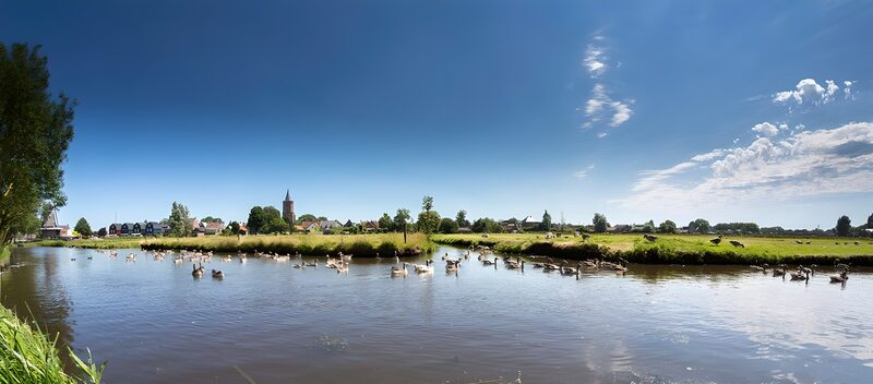 Rustig landschap met watervogels