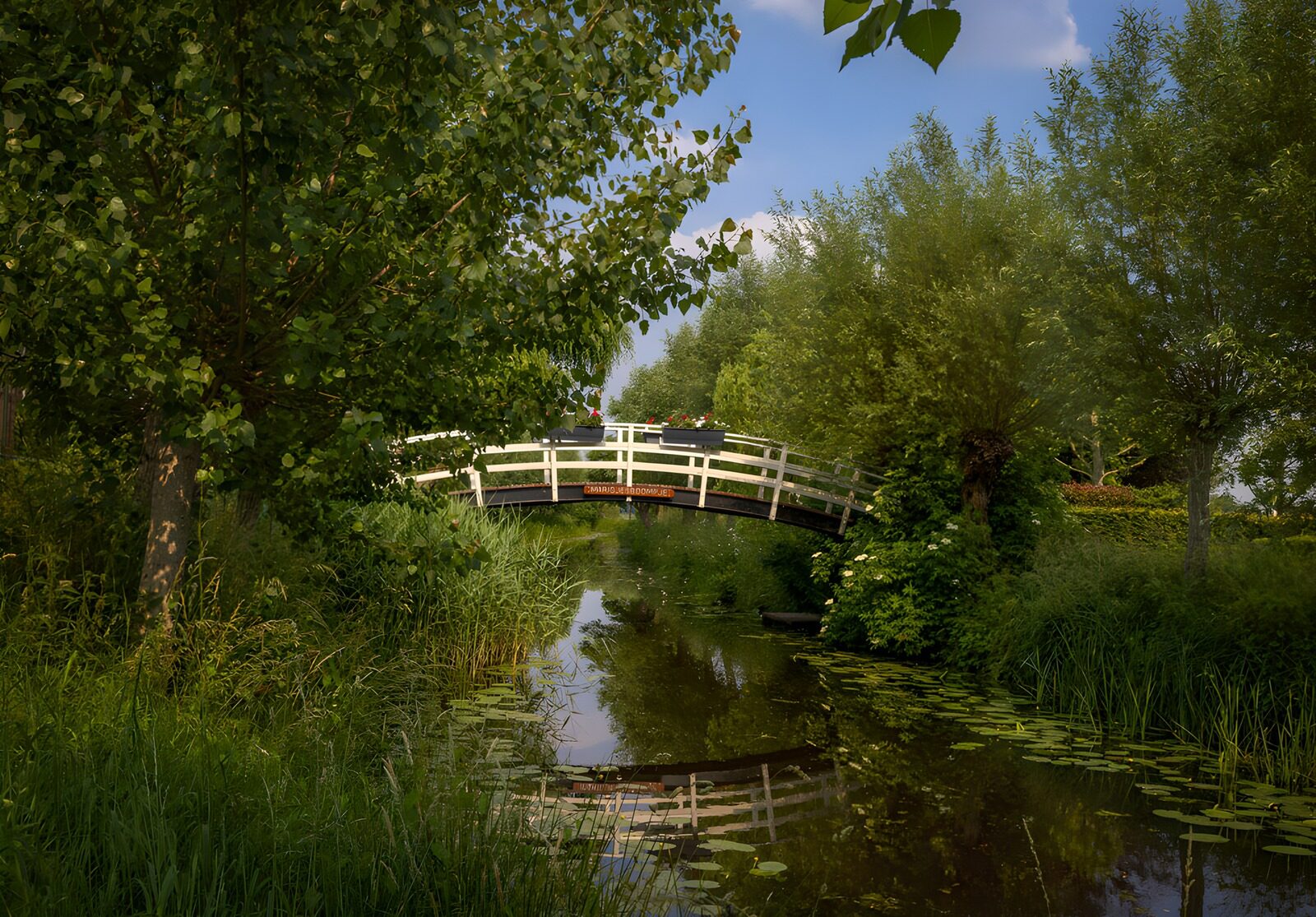 : Prachtige witte brug in weelderige natuur