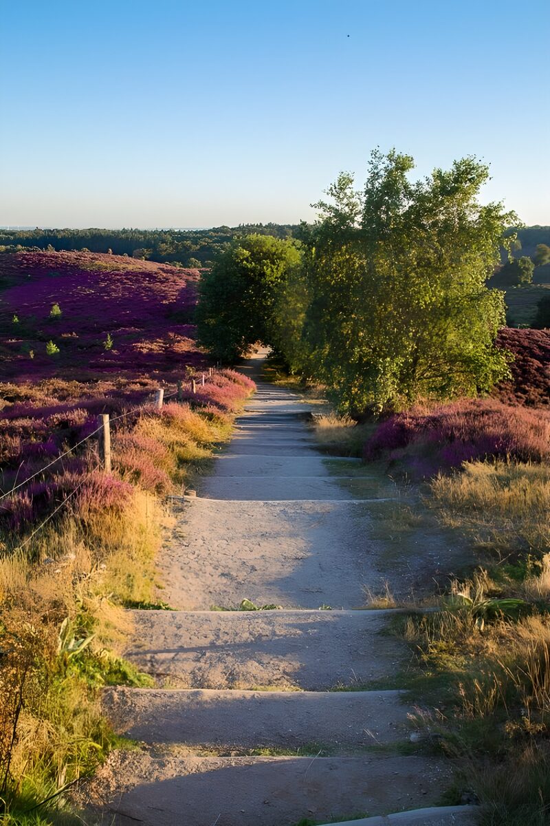 Prachtige Heuvelachtige Wandelroute